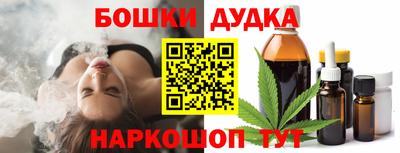амф Гатчина
