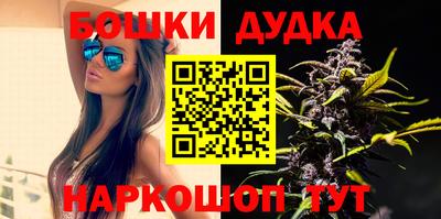 амф Гатчина