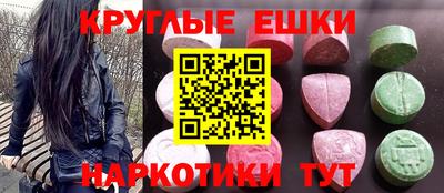 амф Гатчина