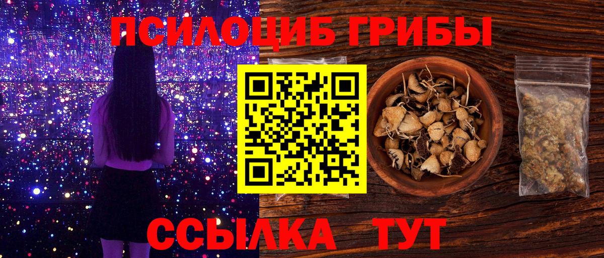 Псилоцибиновые грибы Psilocybine cubensis Ижевск